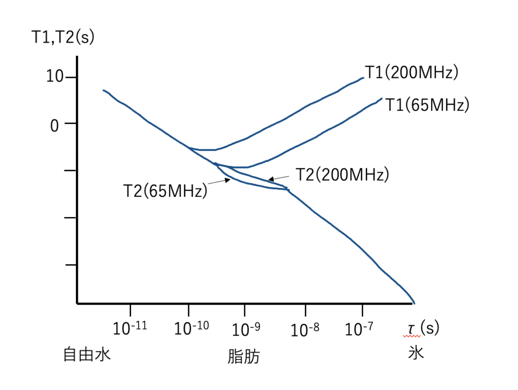 MRI認定試験過去問解説 第5回-6【緩和】 | ラドライフ