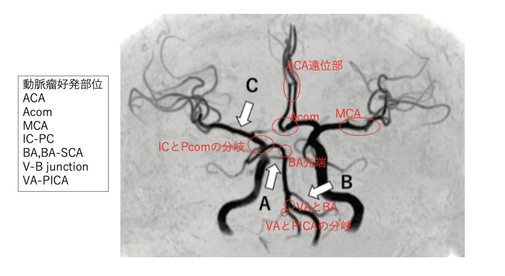 結果と次のステップ